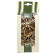 Landlotus nature 10x5x22cm 4pc - Suché vianočné | FLORASYSTEM