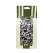 Lotus mini nature 10x5x22cm 10pc - Suché vianočné | FLORASYSTEM
