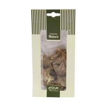 Coconut star nature 10x5x22cm 10pc - Suché vianočné | FLORASYSTEM