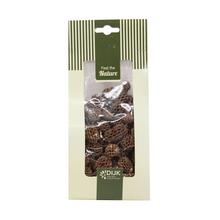 Casuarina nature 10x5x22cm 100gr - Suché vianočné | FLORASYSTEM