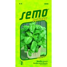 BAZALKA Lettuce LEAF 1g - FLORASYSTEM