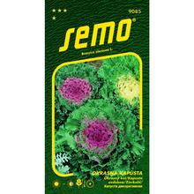 Semena okrasného kelu v balení 0,5g.