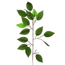 AKCE !! FIKUSOVÝ LIST 1VETV / ZELENÁ 60CM / karton 2400 - FLORASYSTEM