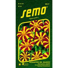 Semena aksamitníku Mr. Majestic od SEMO.