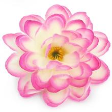 24FLK02-0217 HLAVA CAMELIA SMOT.RU. - FLORASYSTEM