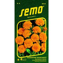 Semena aksamitníku Petit oranžové.