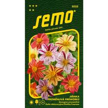 Semena jiřinky Proměnlivá Fireworks 0,3g