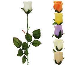 AKCE !! RŮŽE PUK KS 57cm MIX BARVA - FLORASYSTEM