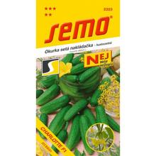 Semena okurky nakladačky Charlotte F1 od SEMO.