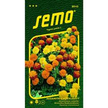 Semena aksamitníku rozkladitého v balení 1g.