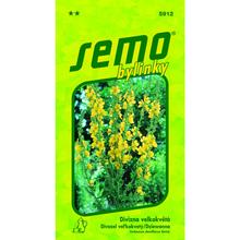 Semena divizny velkokvěté ZLATA 0,10g od SEMO.