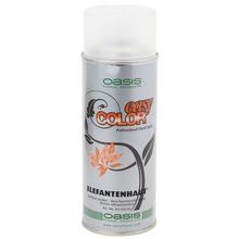 5230 OASIS Elefantenhaut, lesk na sušinu 400ml - FLORASYSTEM