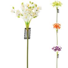 12068-0,1,5,6 ORNYTHOGALOUM 63cm - FLORASYSTEM