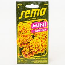 Semena aksamitníku Safari Yellow Fire