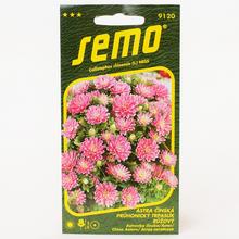 Semena astrovky čínské Pruhon. Trp. růžové.