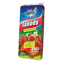 JAHODY 45L / 51 / - FLORASYSTEM