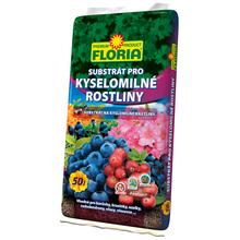 Kyselomilné ROSTLINY 50L / 51 / FLORIA - FLORASYSTEM