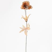 Anemonky 60CM LOS. - FLORASYSTEM