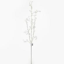 ČÁST zamrzlý 97cm - FLORASYSTEM
