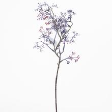 ČÁST 47cm Fiala. - FLORASYSTEM