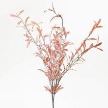 ČÁST LISTY ORANŽOVÉ - FLORASYSTEM