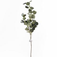 ČÁST EUCALYPTUS POPULUS PLODY 86cm - FLORASYSTEM