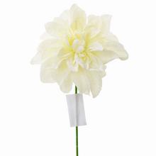 DAHLIA VIAN. BÍLÁ SNÍH - FLORASYSTEM