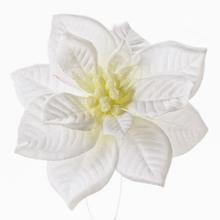 POINSETTIA BÍLÁ CLIP 12CM - FLORASYSTEM
