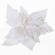 Bílá zasněžená poinsettie na klipu.