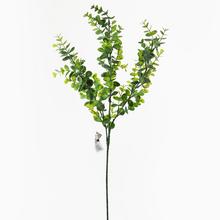 EUCALYPTUS ZELENÝ 70CM - FLORASYSTEM