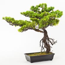 Umělý bonsai v květináči s výškou 60 cm.