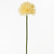 Umělá chryzantéma v mixu broskvové a žluté barvy, 50 cm.