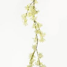 KS větve zlatice KRÉMOVÁ 180cm - FLORASYSTEM