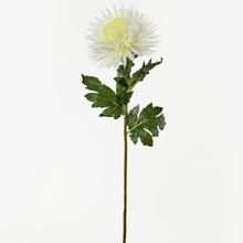 Bílá umělá chryzantéma o délce 90 cm.