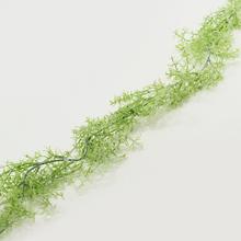 Asparagus GIRL. 180cm - FLORASYSTEM