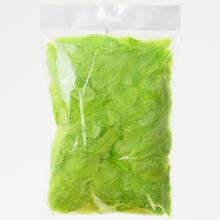 Peříčka ZELENÉ 10G - FLORASYSTEM