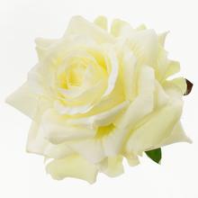 HLAVA BÍLÁ RŮŽE 8cm - FLORASYSTEM