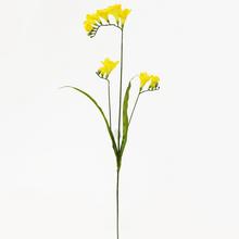 Fréza KS ŽLUTÁ 70cm - FLORASYSTEM