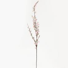 KS TŘEŠEŇ RŮŽOVÁ 94cm - FLORASYSTEM