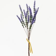 SVAZEK LEVANDULE 38cm - FLORASYSTEM