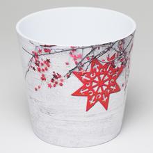 OBAL DALLAS ROTER STERN 14CM - FLORASYSTEM