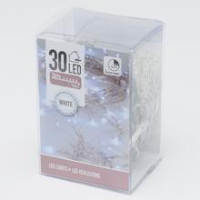 AXS300040 LED světélko / 30 / BIE - FLORASYSTEM