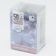 AXS300060 LED světélko / 50 / BIE - FLORASYSTEM
