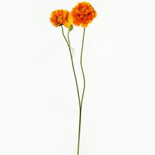 KS MAK ORANŽOVÝ - FLORASYSTEM