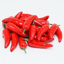 CHILLI S / 200 - FLORASYSTEM