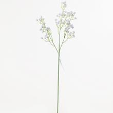 Gypsy 58cm Fiala - FLORASYSTEM