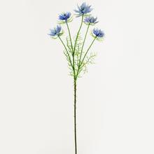 KS Nigella MODRÁ 60CM - FLORASYSTEM