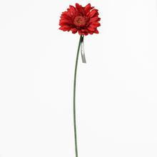 KS GERBERA ČERVENÁ 45CM - FLORASYSTEM