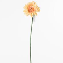 KS GERBERA Lososová 45CM - FLORASYSTEM
