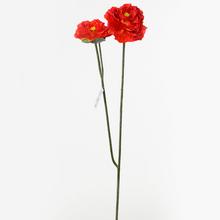KS MAK 80cm - FLORASYSTEM